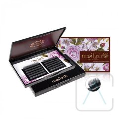 Ameeya bietet hochwertige Camellia Camellia Wimpern von Biomooi an
